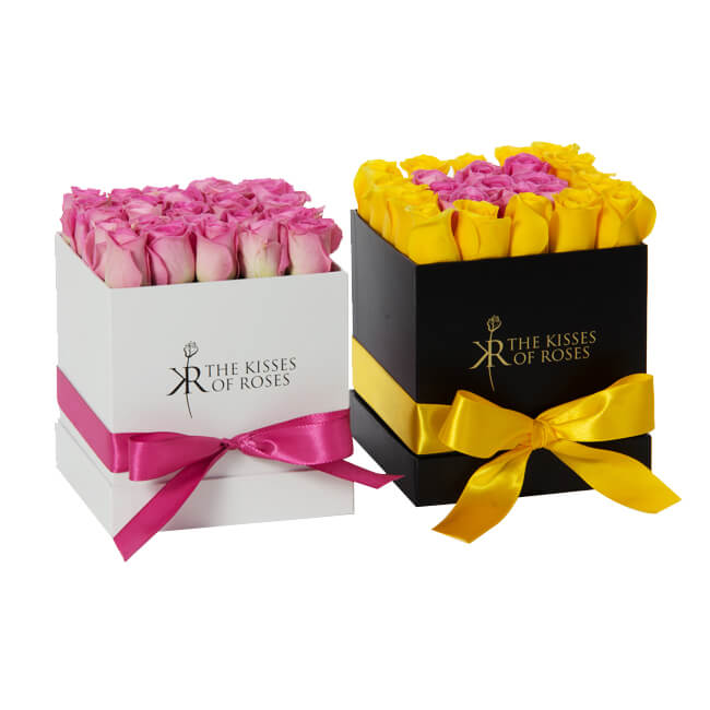 image003.jpg image003.jpg